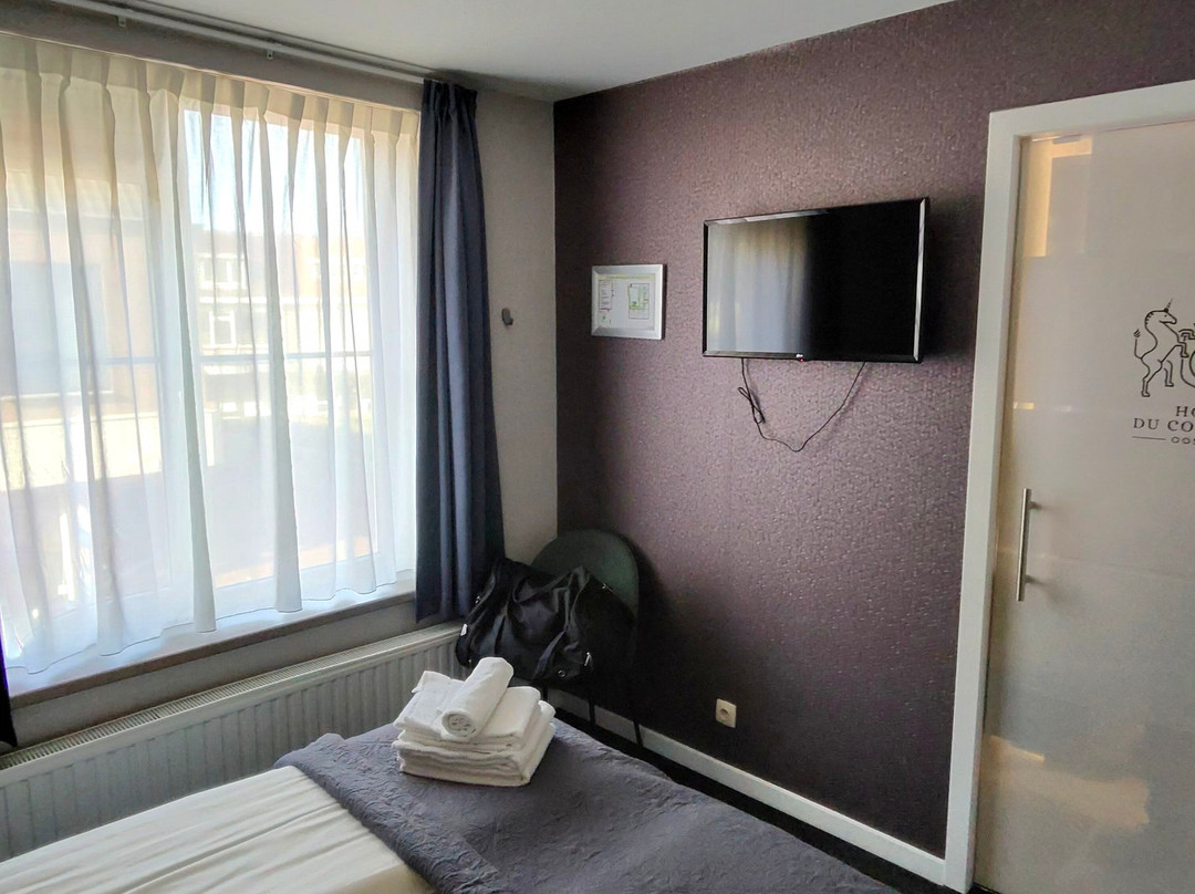 Hotel Du Commerce主图