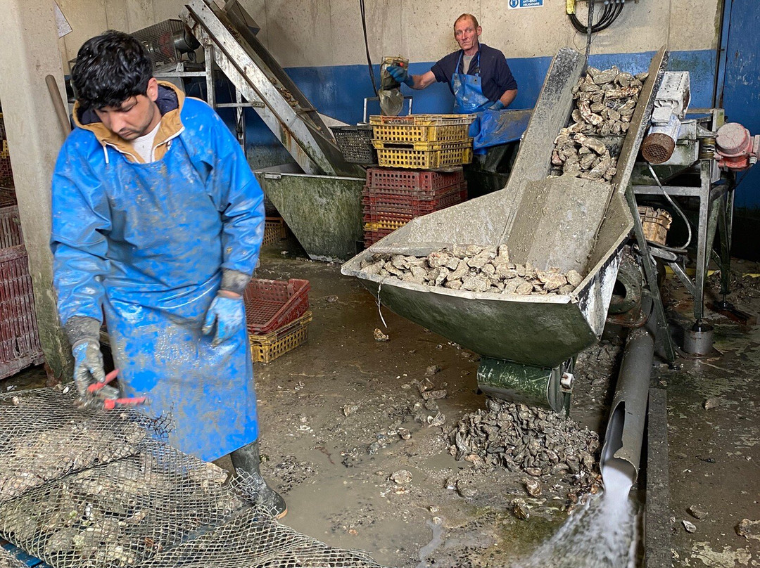 La Ferme Marine-康卡勒必去景点