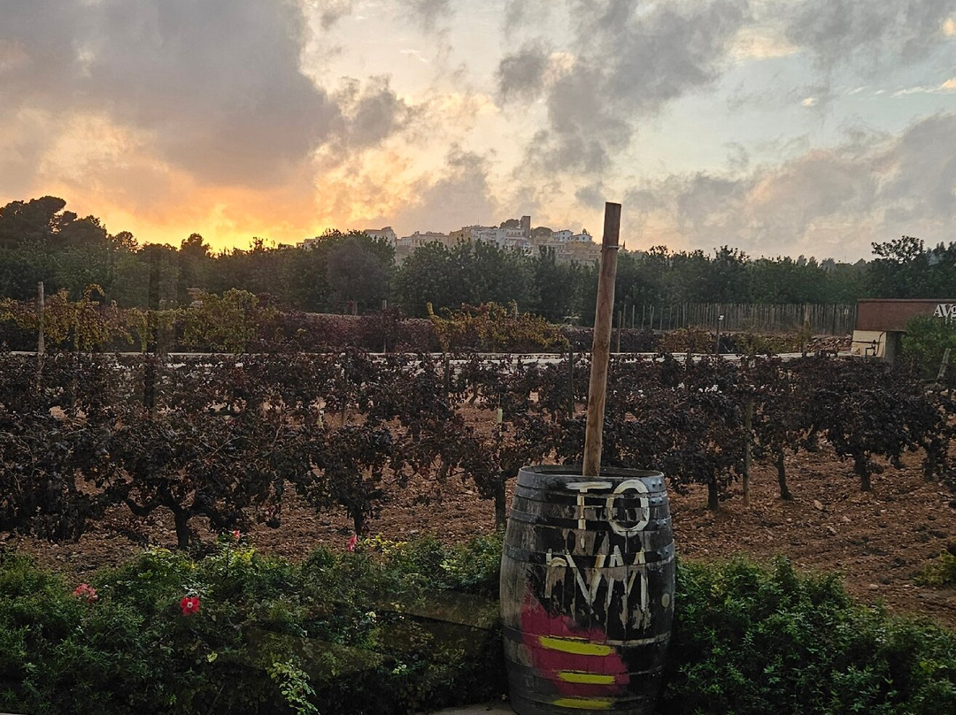 Cellers Avgvstvs Forvm-El Vendrell必去景点