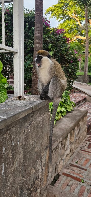 里威度假村及水疗中心-官方