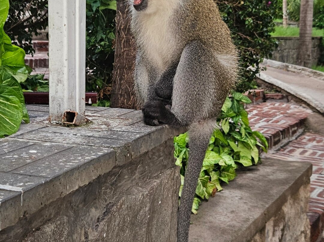 里威度假村及水疗中心主图