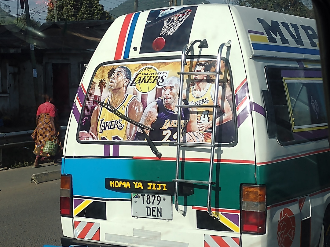 GMExpeditions-阿鲁沙必去景点