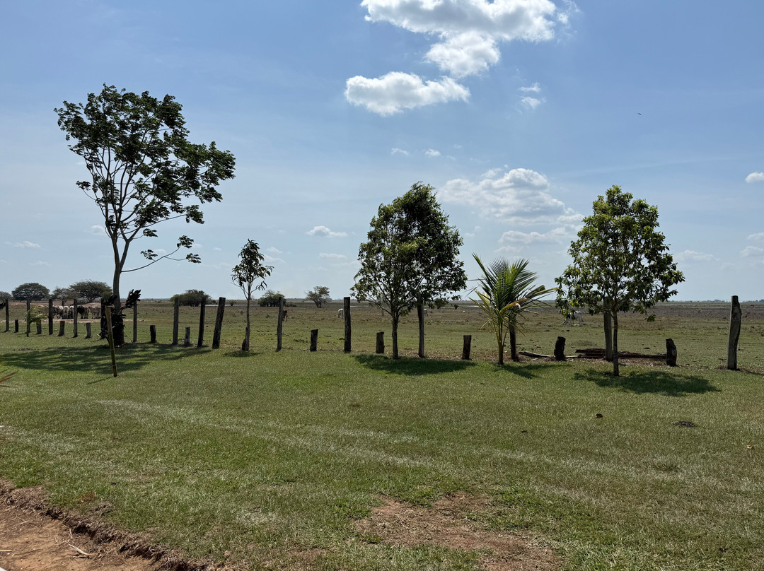 Reserva Natural Hato El Boral-San Luis de Palenque必去景点