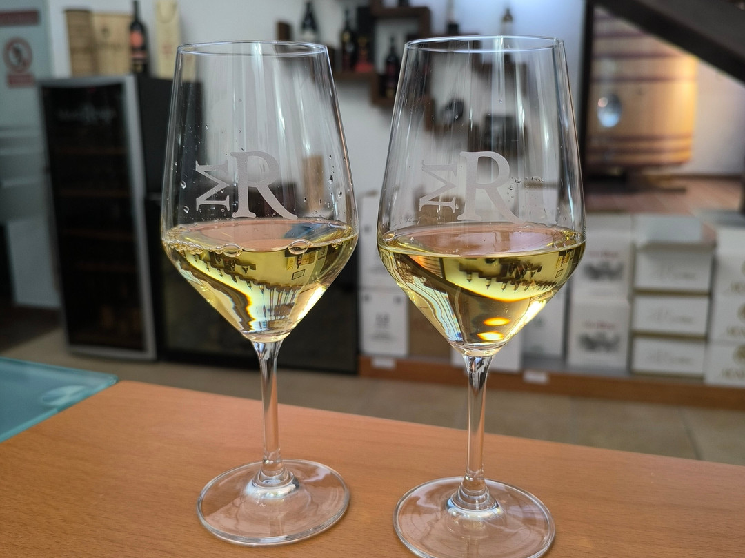 Bodega Mont Reaga-Monreal del Llano必去景点