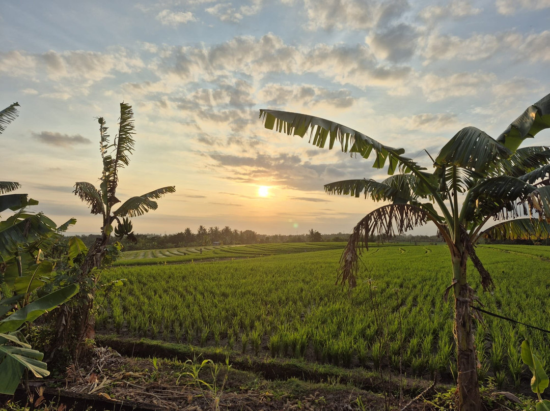 霎哈嘉萨瓦度假别墅主图