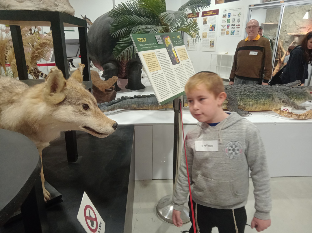 The Biblical Museum of Natural History-Beit Shemesh必去景点