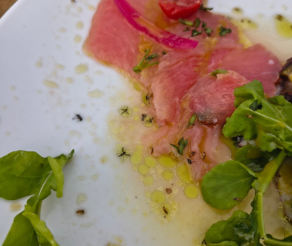 Forte Nossa Senhora Dos Remédios-费尔南多-迪诺罗尼亚群岛必去景点