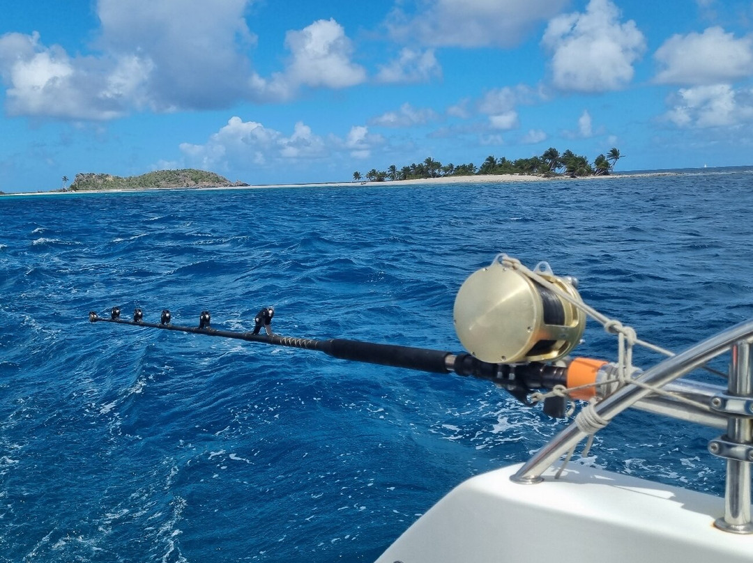 Alex Croisiere Grenadines et Caraibe-Le Marin必去景点