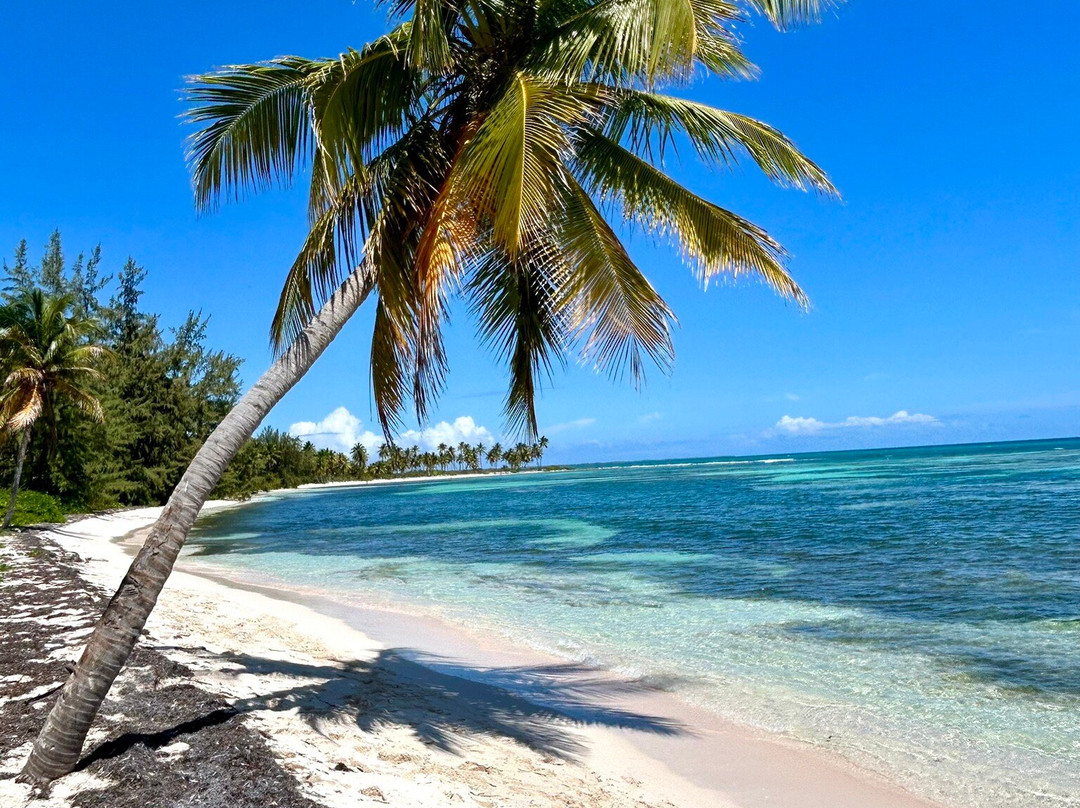 Franconero Escursioni-Bayahibe必去景点