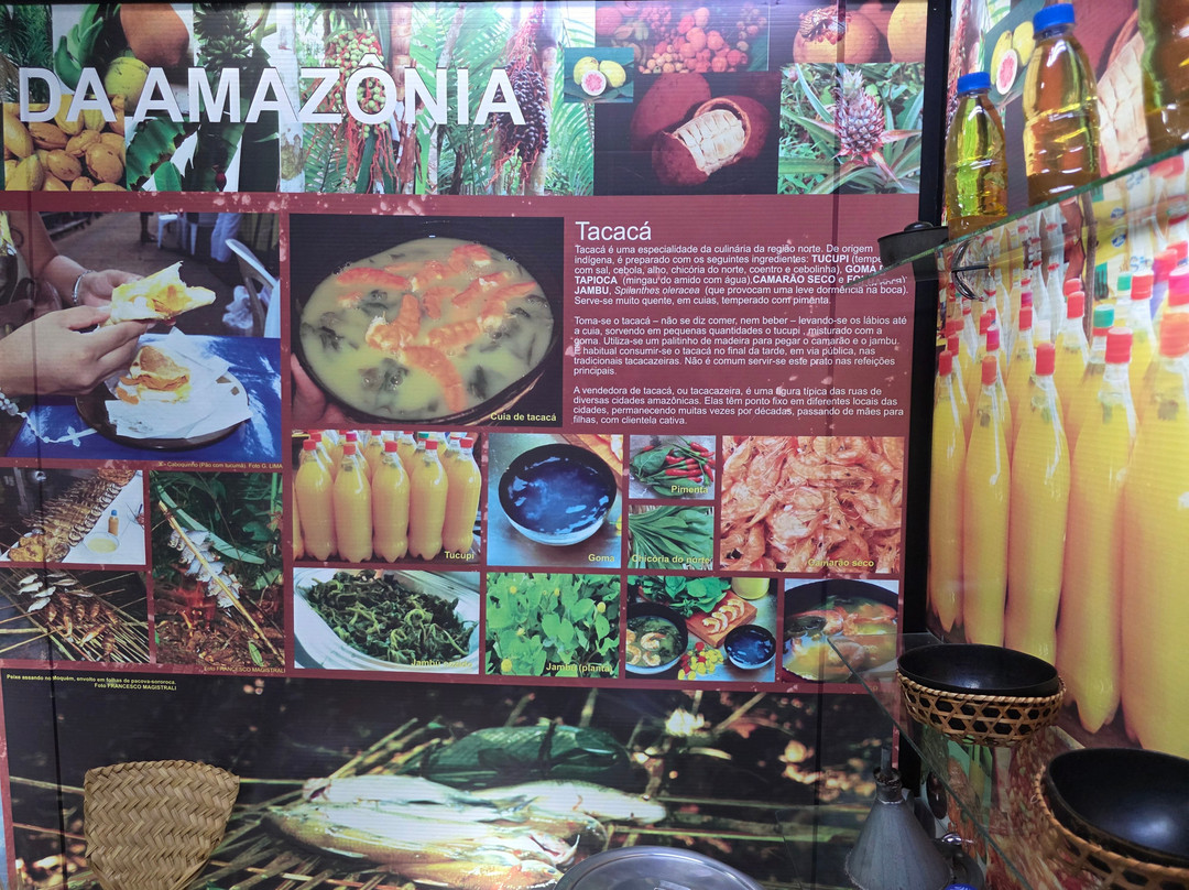 Cultural Centre of the Peoples of the Amazon-玛瑙斯必去景点