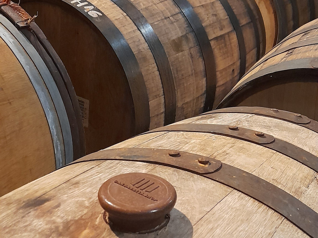 FIRST Craft Beer Brewery & Taproom-布达佩斯必去景点