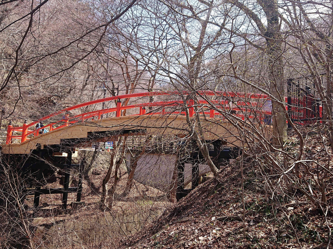 Kajikabashi-涩川市必去景点
