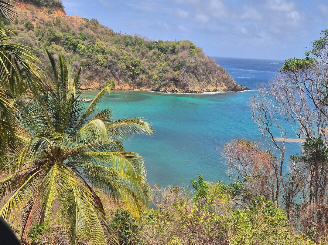 Batteaux Bay-Northeast Coast必去景点