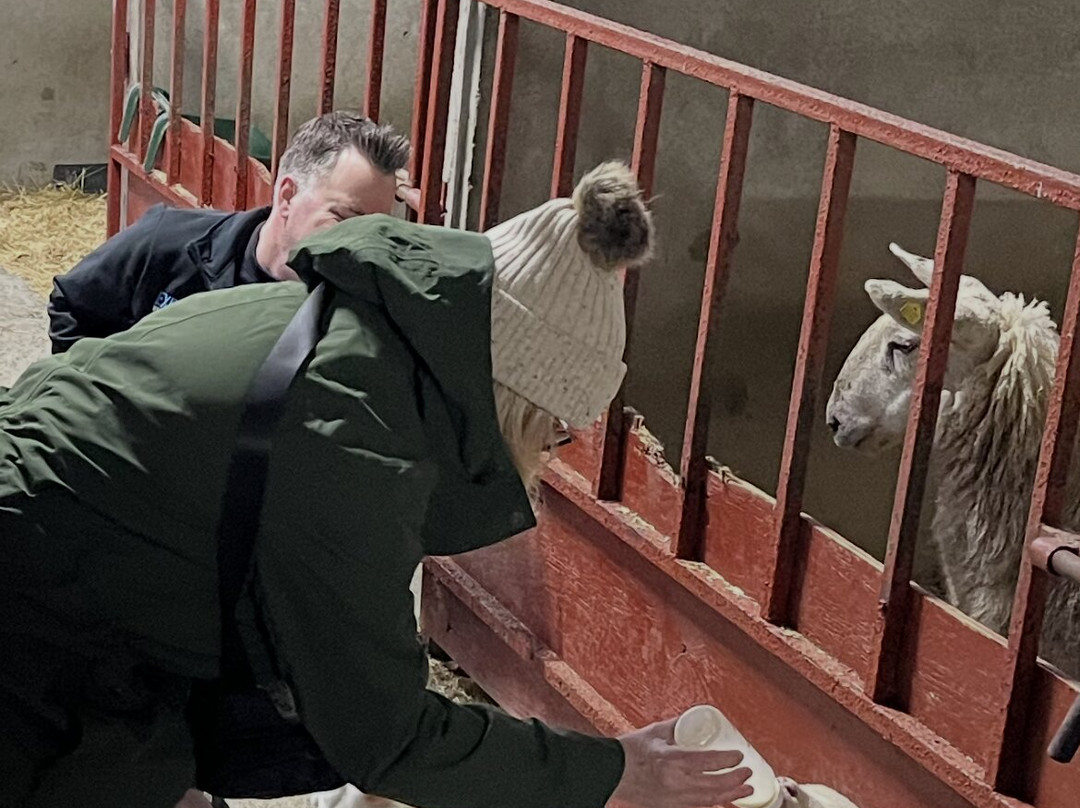 Explore With Spike-底特律必去景点