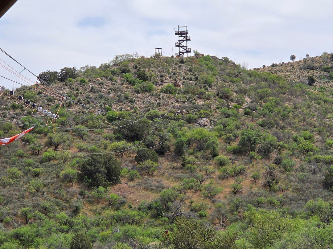 Arizona Zipline Adventures-Oracle必去景点