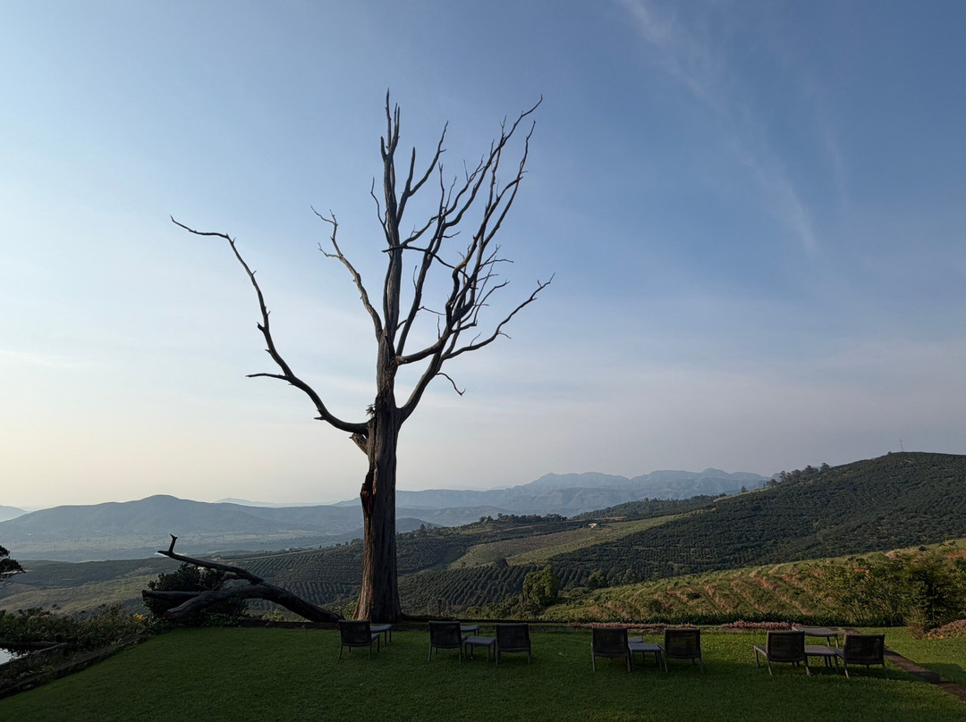 瓦登王花园庄园酒店主图