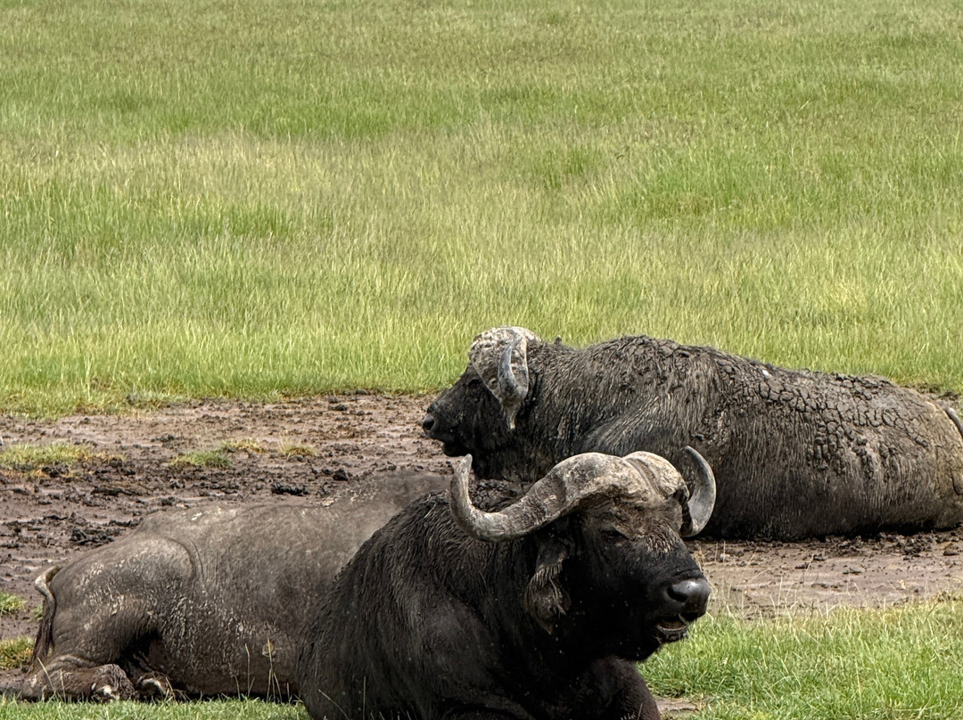 Unlimited Expeditions - The Soul Of Tanzania-阿鲁沙必去景点
