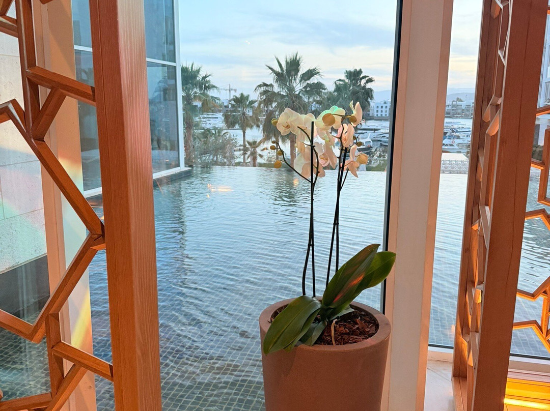 亚喀巴艾拉凯悦酒店主图