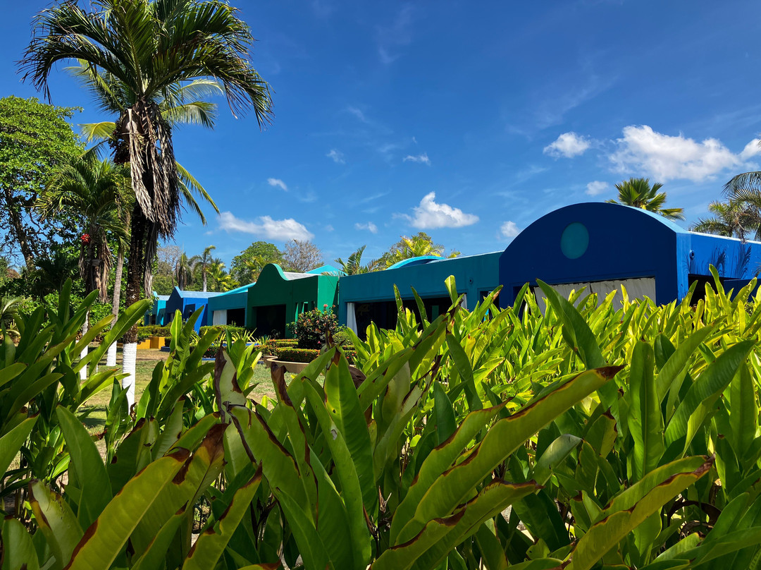 阿尔玛太平洋海滩水疗酒店主图