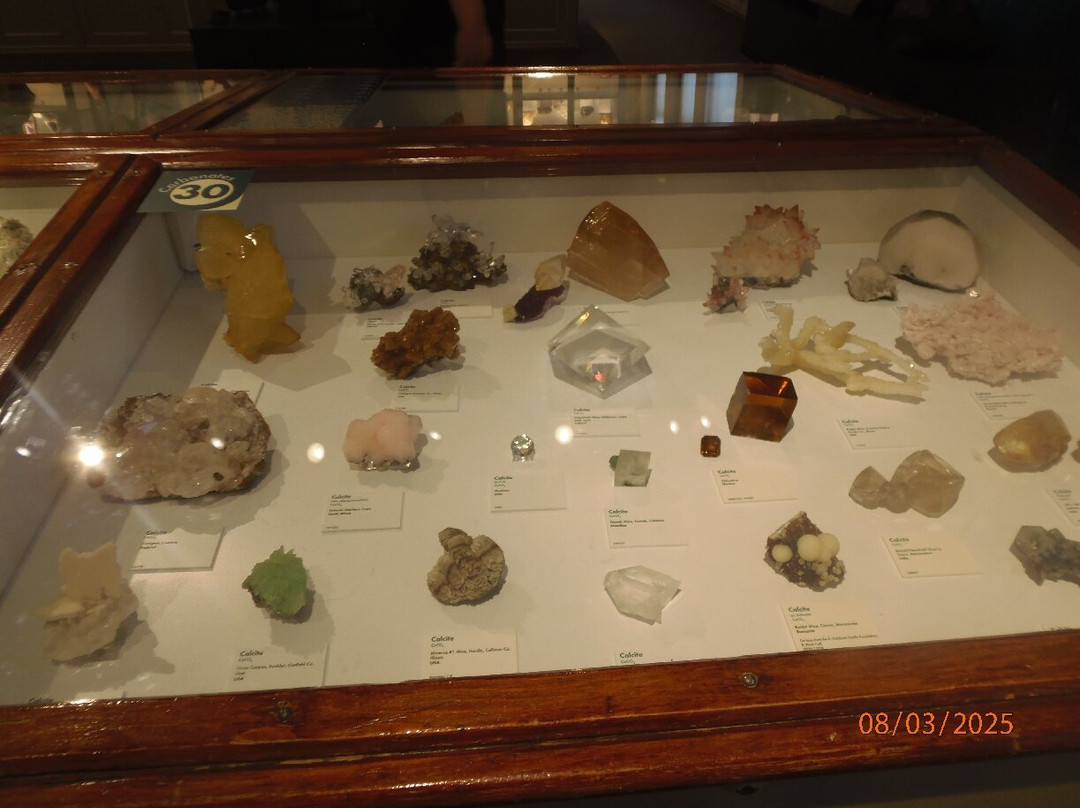 Harvard Museum of Natural History-剑桥必去景点