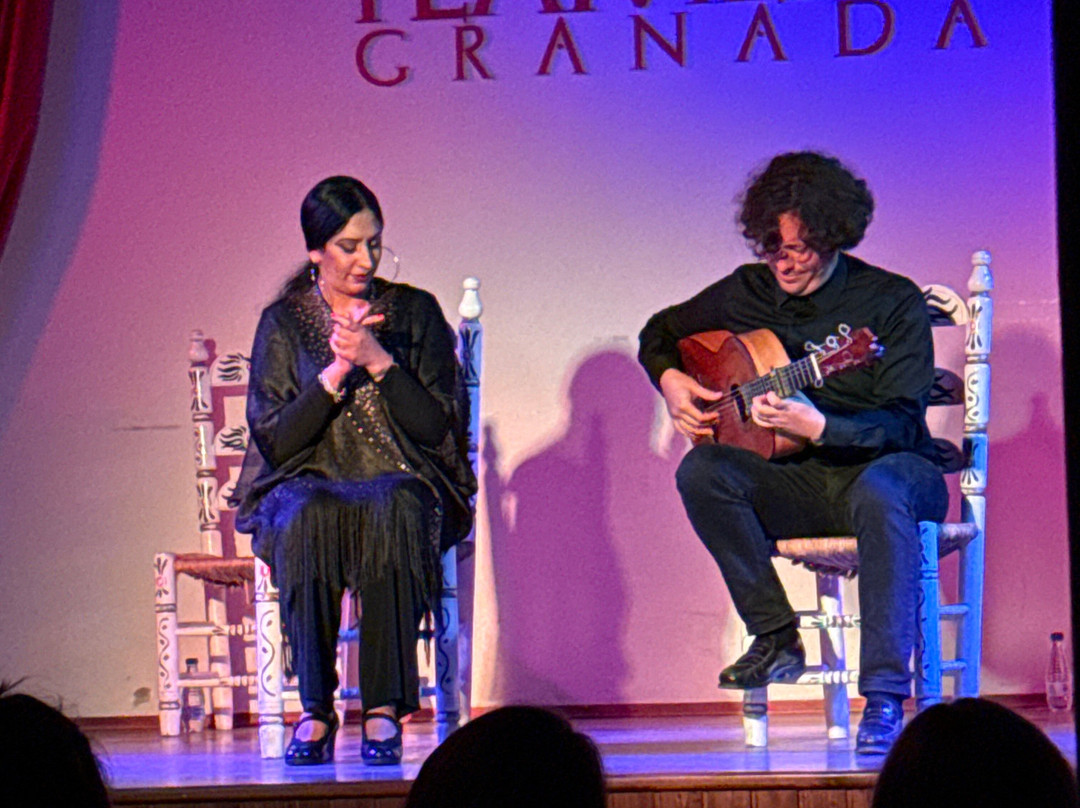 Palacio Flamenco Granada-格拉纳达必去景点