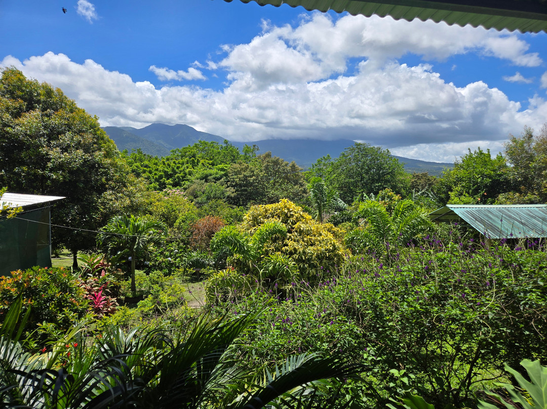 Tours with Frank the Tank Costa Rica-利比里亚必去景点