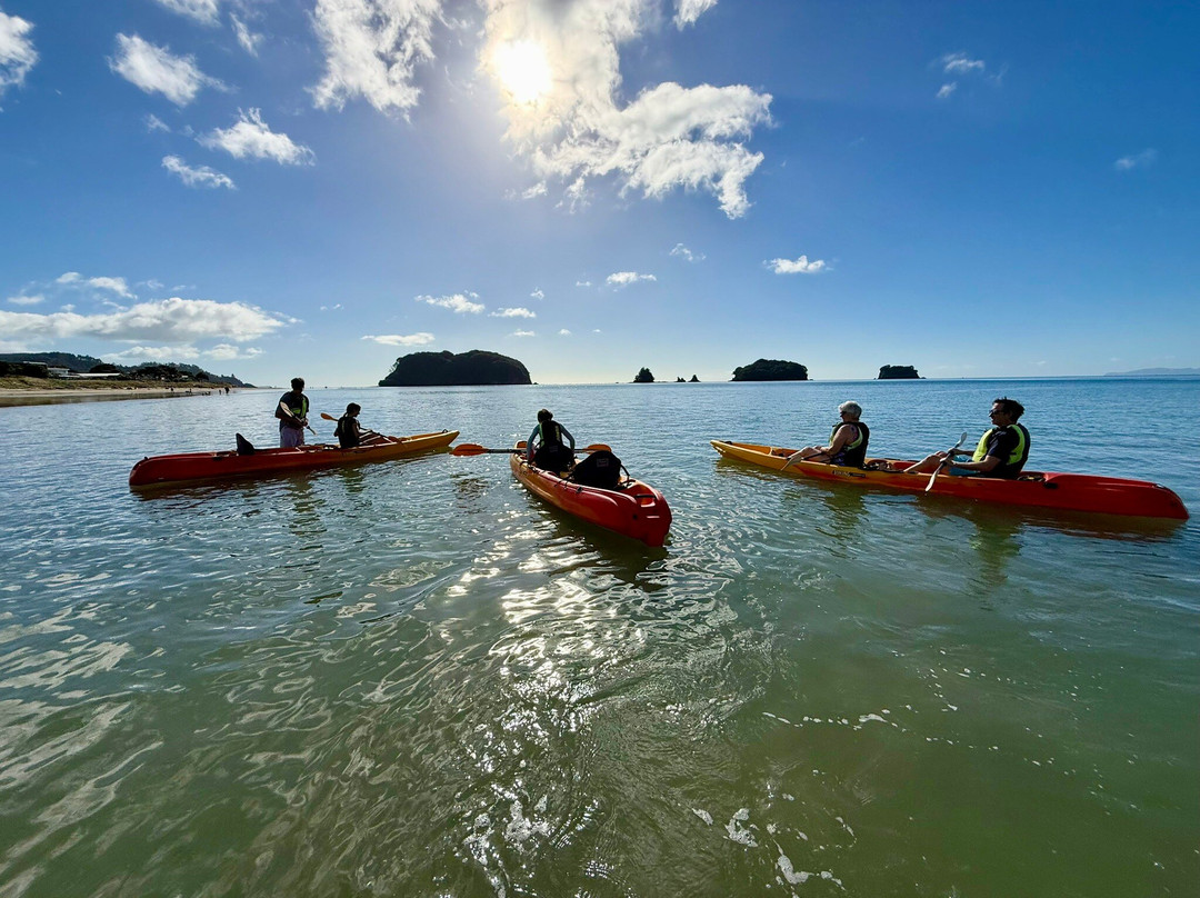 Pedal and Paddle-瓦卡马塔必去景点