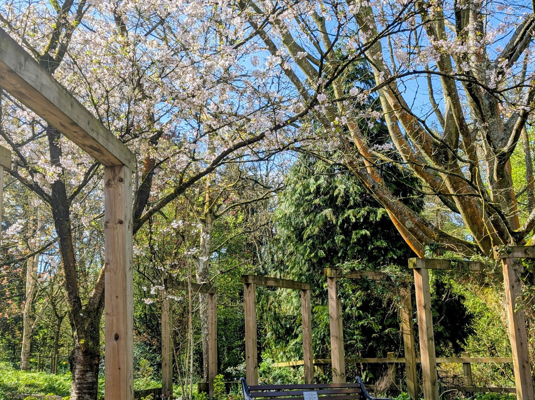 弗莱彻莫斯公园和植物园-曼彻斯特必去景点