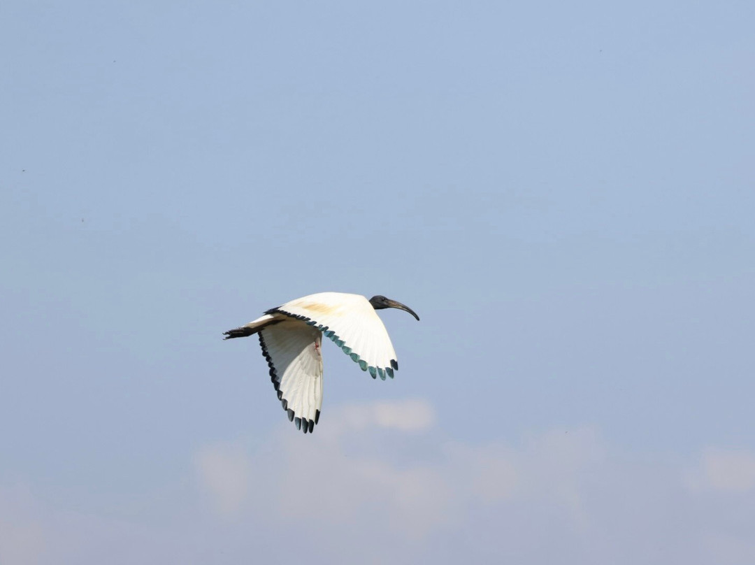 Birding In Italy-Capolona必去景点