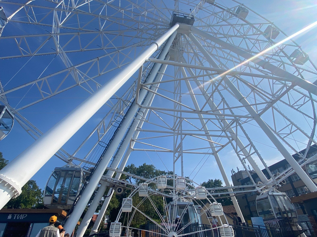 Ferris wheel "Eye of the Baltic"-泽列诺格拉茨克必去景点