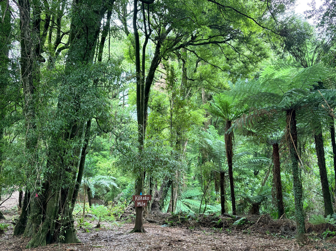 Real  Native  -  Walking Retreat-Te Awamutu必去景点