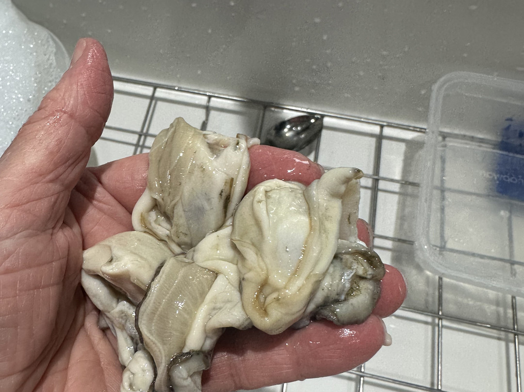 Oregon Oyster Farms-纽波特必去景点