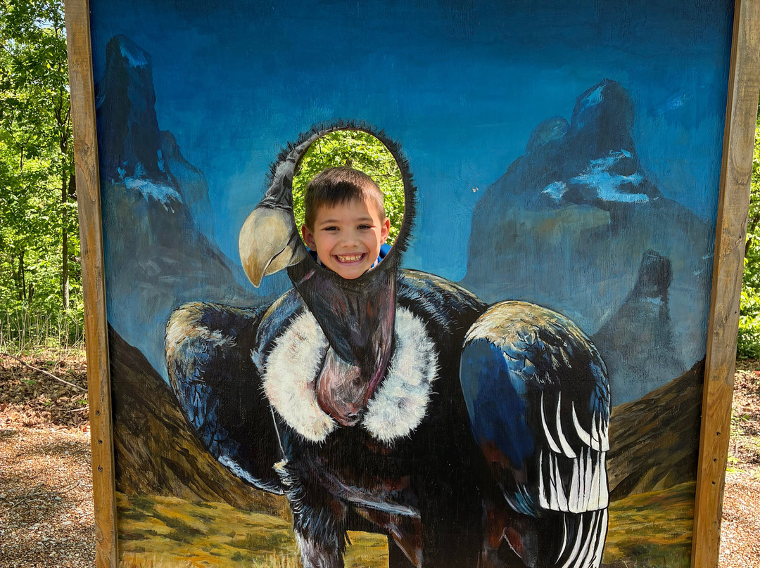 World Bird Sanctuary-Valley Park必去景点
