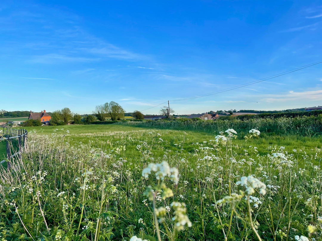 Knowlton Church and Earthworks-Cranborne必去景点