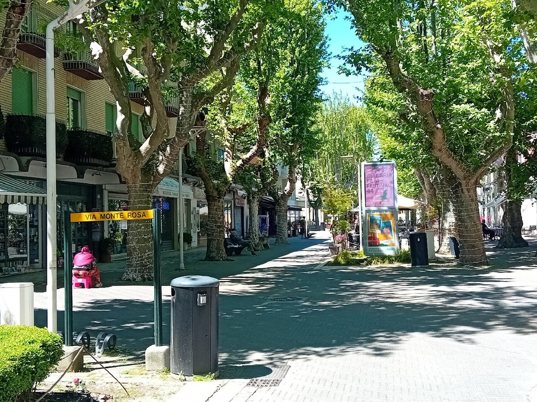 Viale dei Platani-Bellaria必去景点