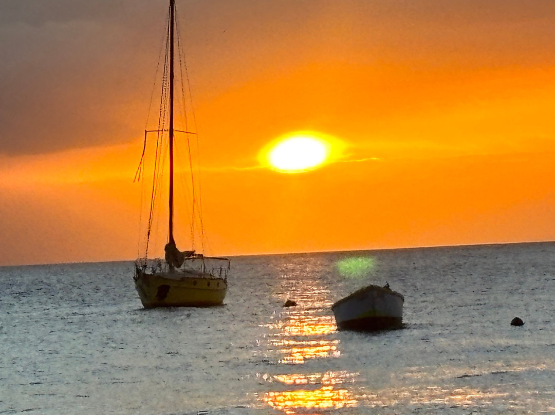 Cool Runnings Catamaran Cruises-布里奇顿必去景点