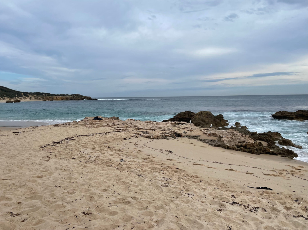 Koonya Beach-Blairgowrie必去景点