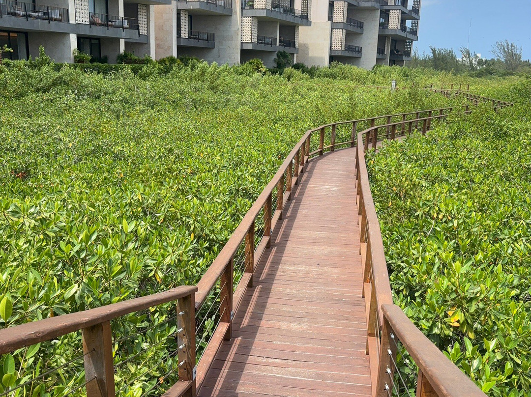 埃特雷奥酒店-阿尔伯格度假村精选主图