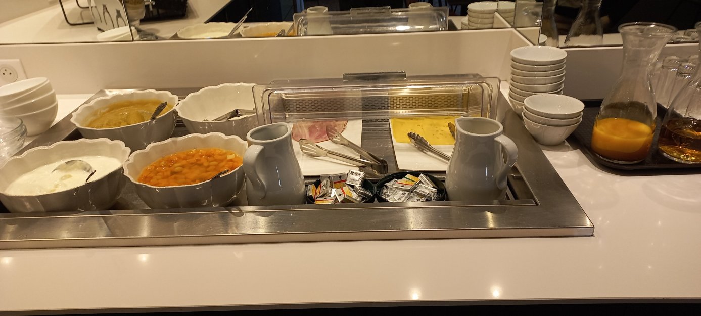 南锡中心火车站瑞沃特尔酒店-旅行者