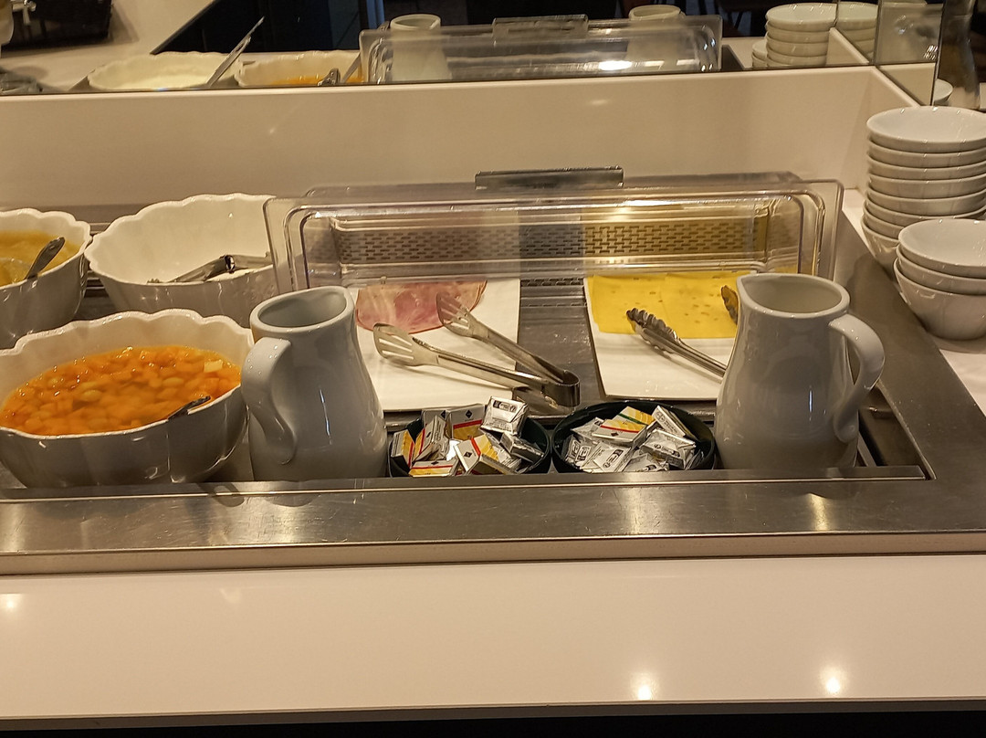 南锡中心火车站瑞沃特尔酒店主图
