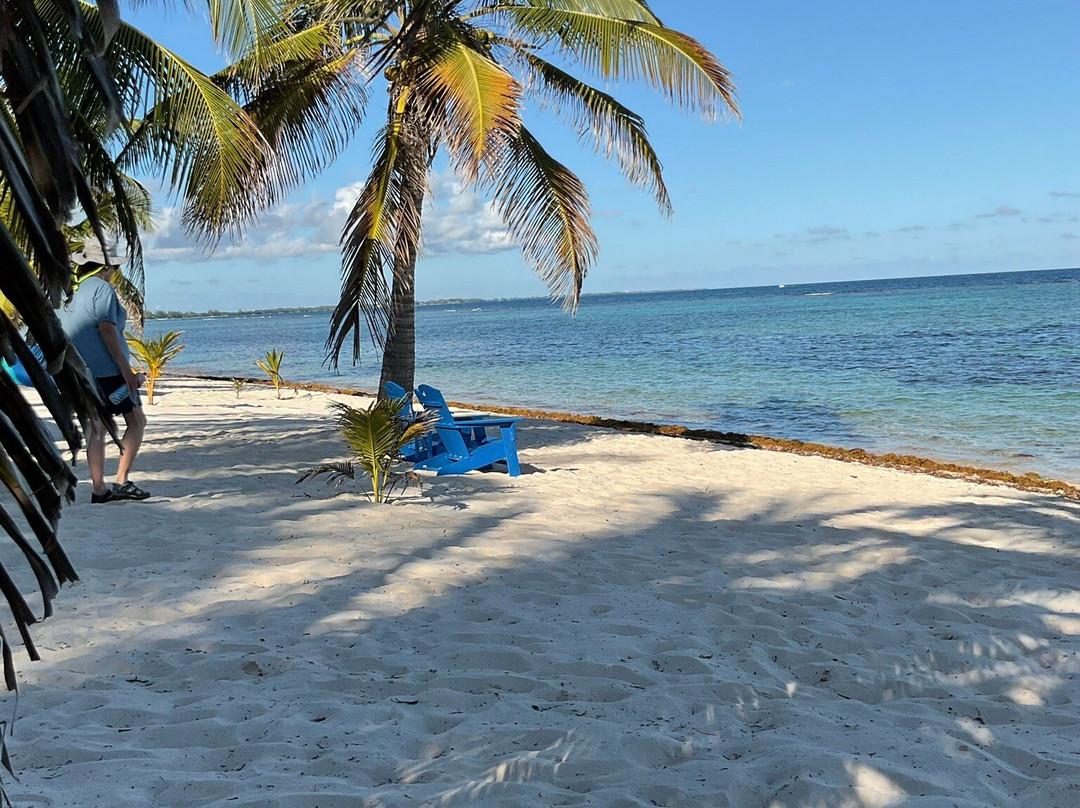 Turtle Nest Inn主图