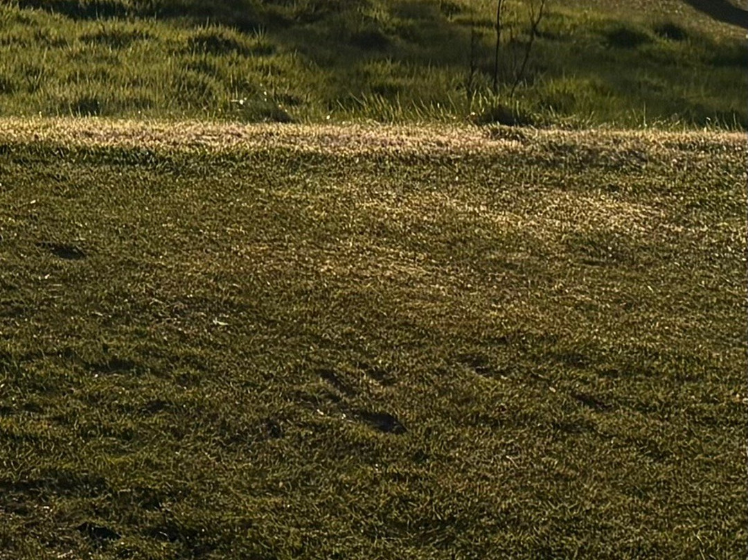 The Kilmacolm Golf Club-Kilmacolm必去景点