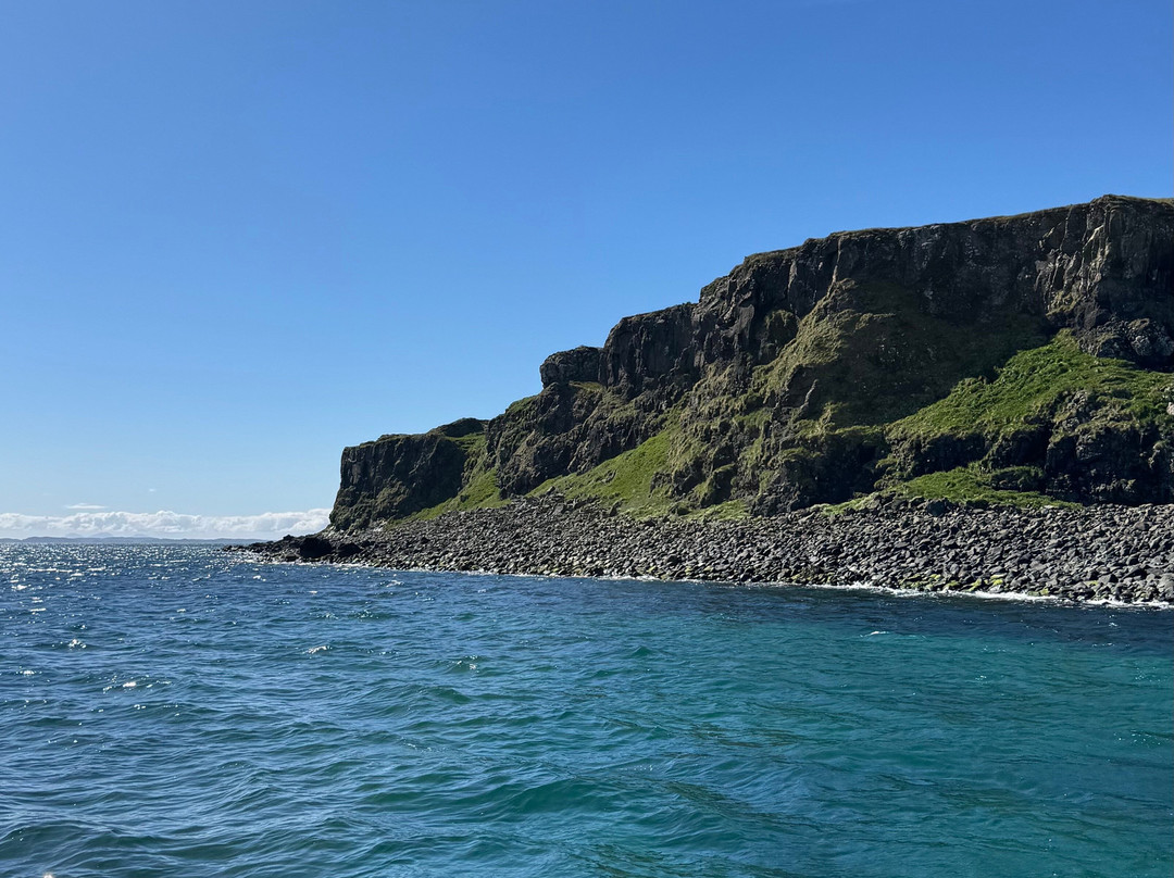 Basking Shark Scotland-奥本必去景点