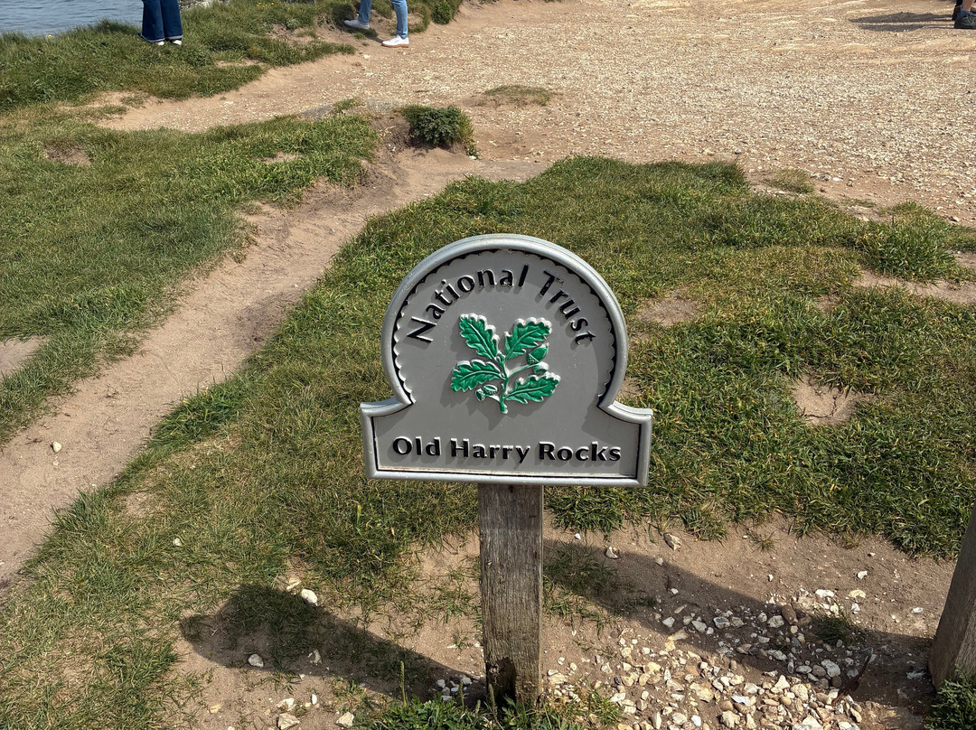 Old Harry Rocks-斯沃尼奇必去景点