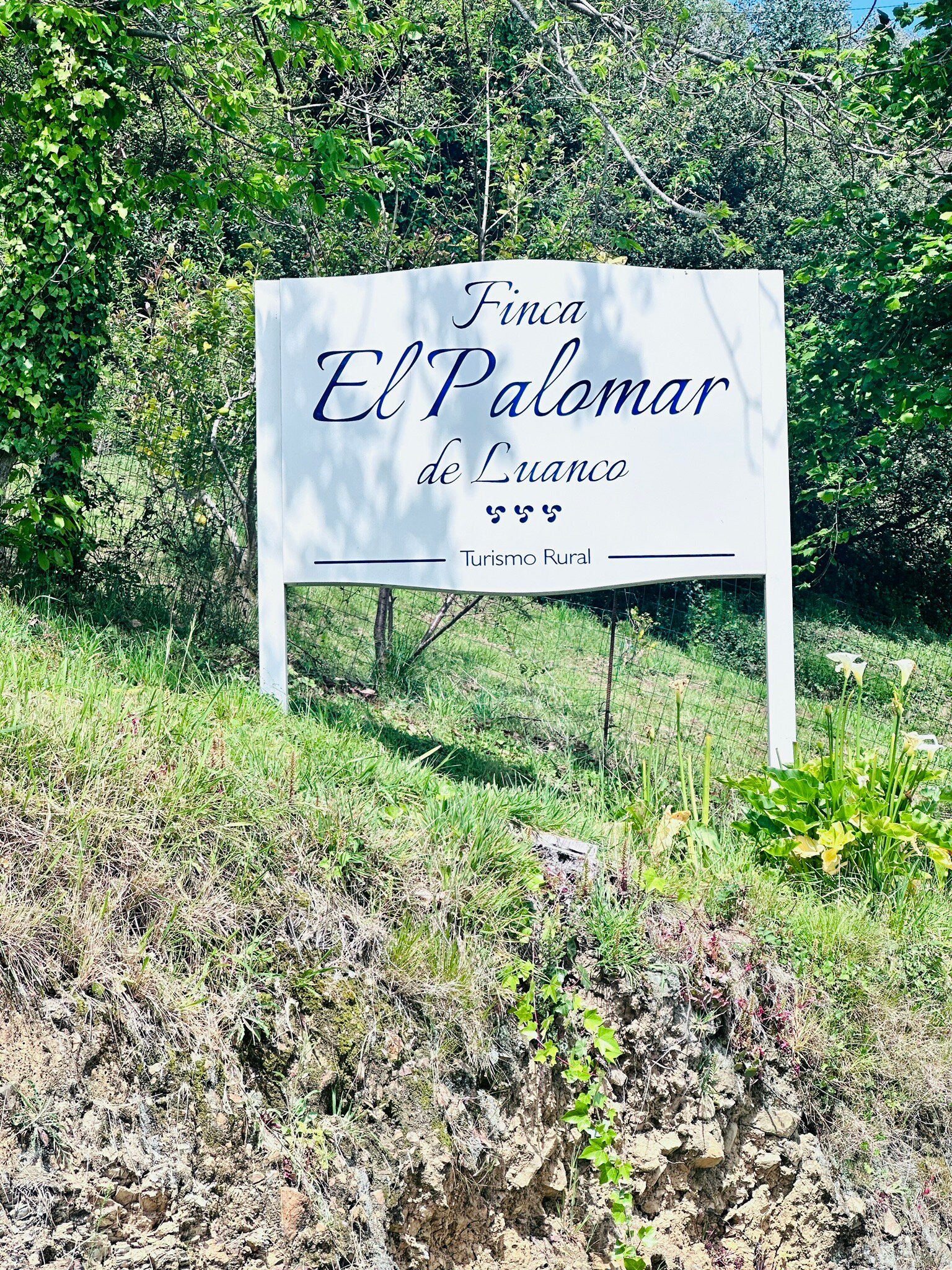 Finca El Palomar de Luanco-旅行者