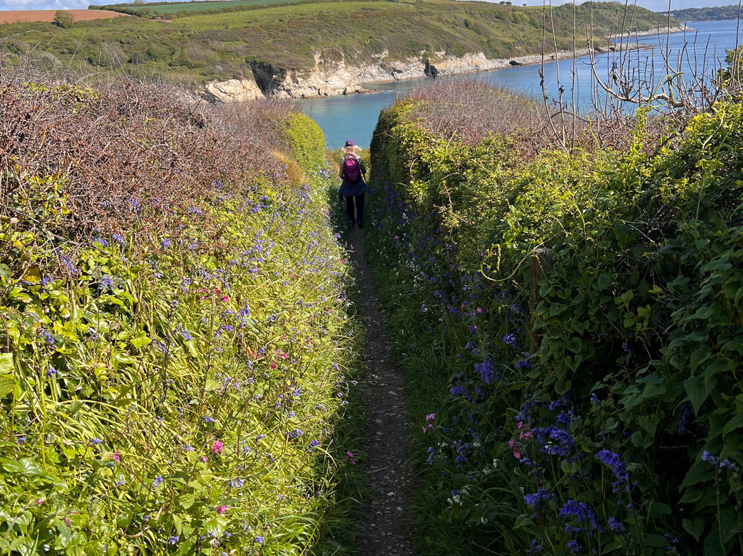 Maenporth to Swanpool Path Walk-Maenporth必去景点