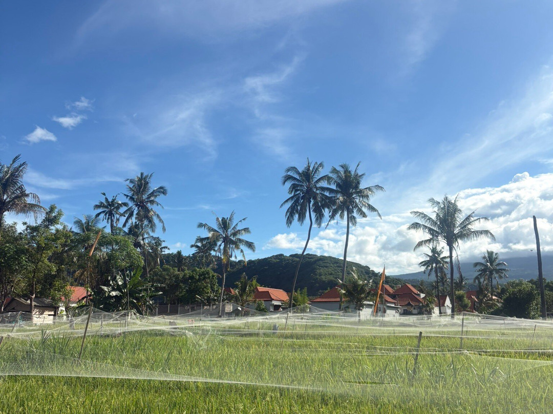 Bali Dive Trek-艾湄湾必去景点