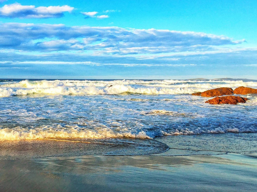 Narooma Surf Beach-纳鲁马必去景点