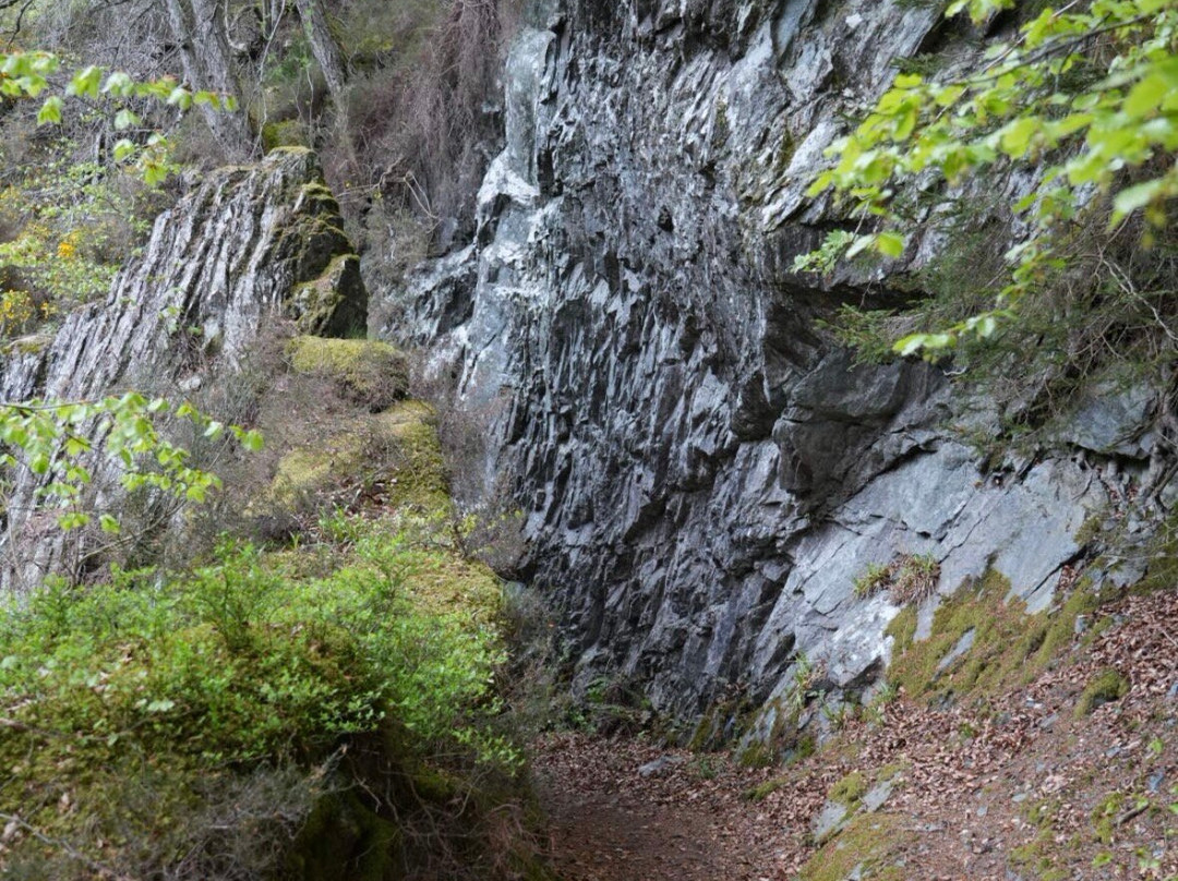 Tweed Valley Blogger | TVB Tours-Innerleithen必去景点