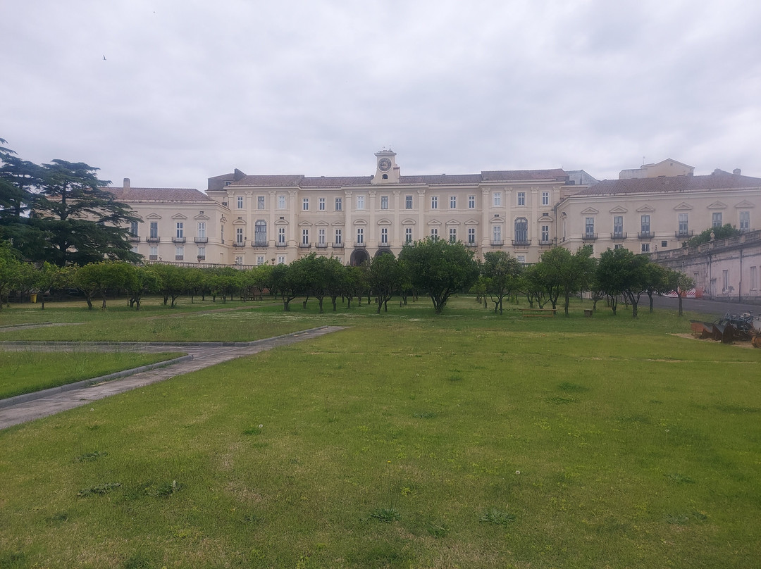 Reggia di Portici Herculanense Museum-Portici必去景点